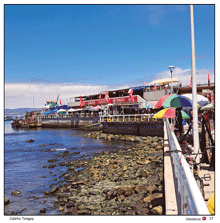 /cpsess3940204346/frontend/jupiter/filemanager/editors/./Láminas/17-Caleta-Tongoy